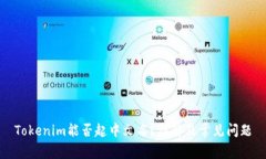 Tokenim能否起中文名？详解及常见问题