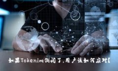 如果Tokenim倒闭了，用户该如何应对？