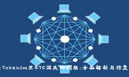 解决Tokenim里BTC消失的问题：全面解析与修复指南
