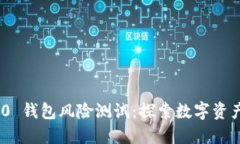 Tokenim 2.0 钱包风险测试：探索数字资产安全的未