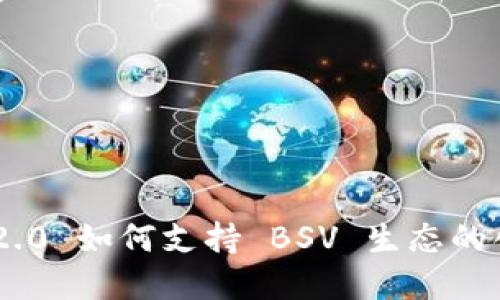 Tokenim 2.0 如何支持 BSV 生态的创新与发展
