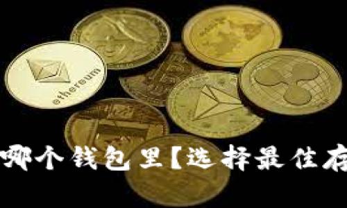 比特币放在哪个钱包里？选择最佳存储方式指南
