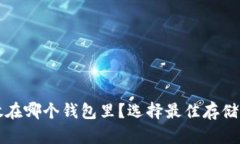 比特币放在哪个钱包里？选择最佳存储方式指南