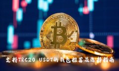 支持TRC20 USDT的钱包推荐及选择指南