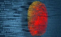 怎样将比特币提现到钱包上：简单指南