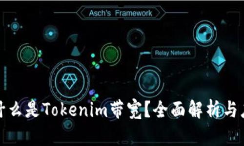 : 什么是Tokenim带宽？全面解析与应用
