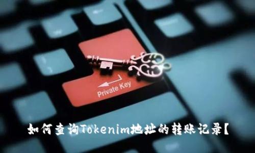 如何查询Tokenim地址的转账记录？
