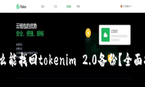:怎么能找回tokenim 2.0备份？全面指南