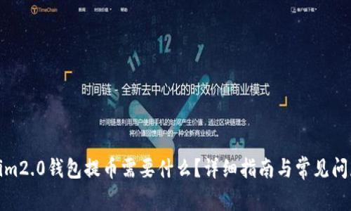 Tokenim2.0钱包提币需要什么？详细指南与常见问题解答
