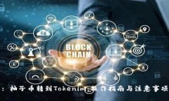 : 柚子币转到Tokenim：操作