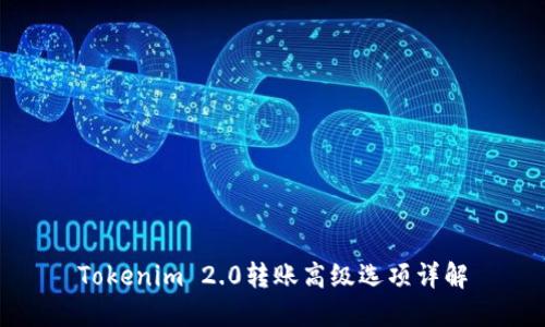 Tokenim 2.0转账高级选项详解